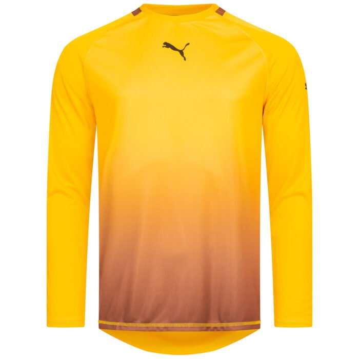 PUMA Men Long-sleeved Goalkeeper Jersey 740208-04