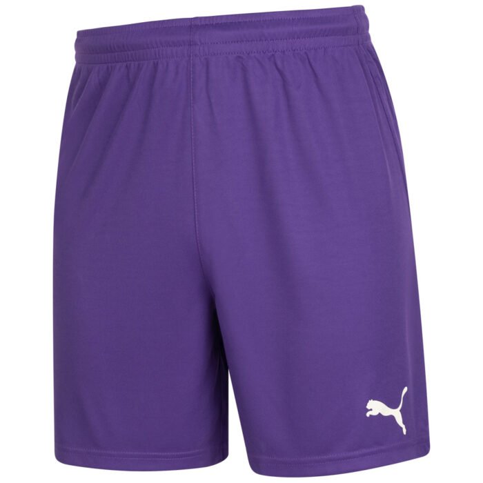 PUMA Men Goalkeeper Shorts 740209-03