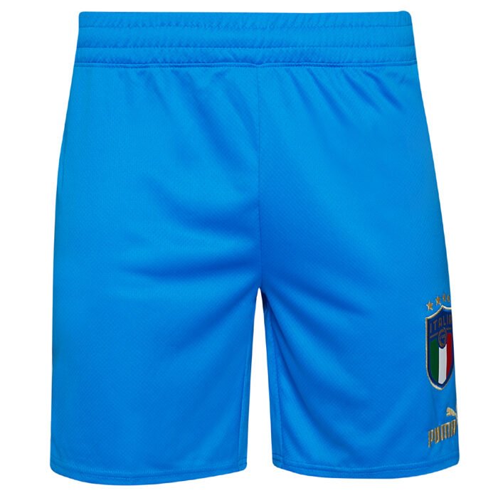 Italy FIGC PUMA Men Shorts 765668-01